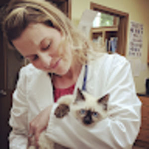 Meet your Posher, Ainsley